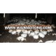 fresh agaricus bisporus button mushroom spawn