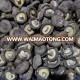 champigon mushroom/ shiitake mushroom / shiitake mushroom price