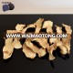 Dried Tricholoma Matsutake