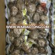 China Dried Shiitake Mushroom to Korean Market