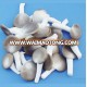 cultivation of IQF pleurotus mushroom